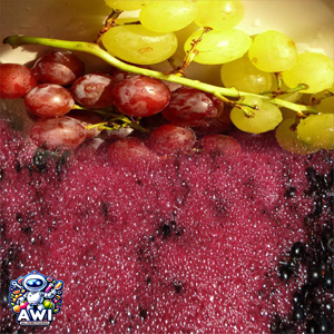 INGREDIENTE NATURAL EXTRACTO DE VINO LIQUIDO