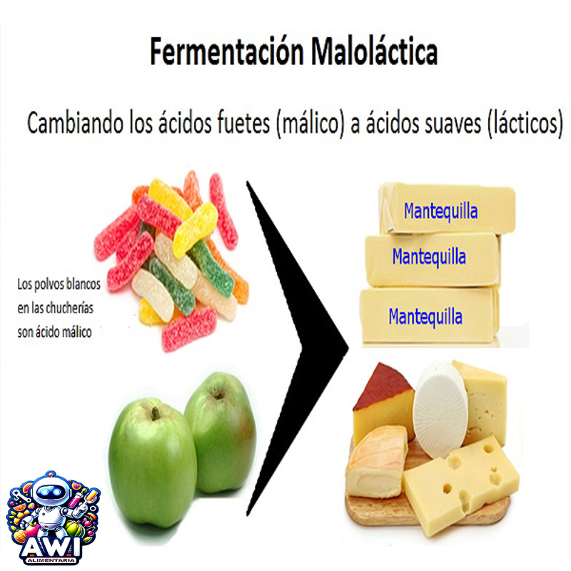 ADITIVO ACIDO MALICO E-296